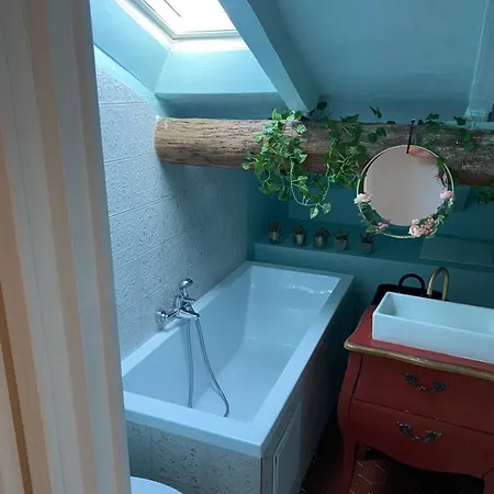 Le Cocon De Garibaldi Apartman Nizza